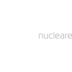 Ansaldo nucleare